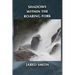 Shadows Within the Roaring Fork