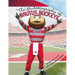The Autobiography of Brutus Buckeye