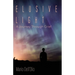Elusive Light: A Journey Through Grief