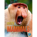 Crazy Mammals