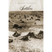 Settlers