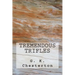 Tremendous Trifles