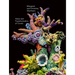 Christine and Margaret Wertheim: Value and Transformation of Corals