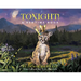 Tonight!: A Bedtime Book