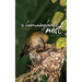 A Hummingbird's Nest