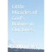 Little Miracles of God's Nature in Our Lives