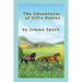 The Adventures of Jill's Ponies