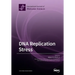 DNA Replication Stress
