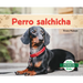Perro Salchicha (Dachshunds)