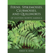 Ferns, Spikemosses, Clubmosses, and Quillworts of Eastern North America