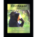 Swampgas Theory