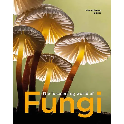 The Fascinating World of Fungi