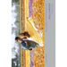 Bollywood: A Guidebook to Popular Hindi Cinema