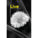 Live: Experience Christ's Life