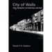 City of Walls: Crime, Segregation, and Citizenship in São Paulo