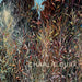 Charlie Burk: Journey in Abstraction