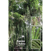 Ferns of Palau: A Field Guide