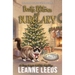 Boots, Blitzen, and Burglary: A Cozy Magic Midlife Mystery