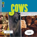 Cows