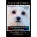 Maltese Puppy Training Book for Maltese Puppies By D!G THIS DOG Training, From the Car Ride Home Training Begins, Maltese Puppy Training