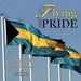Flying the Pride