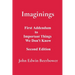 Imaginings: First Addendum to Important Things We Don't Know