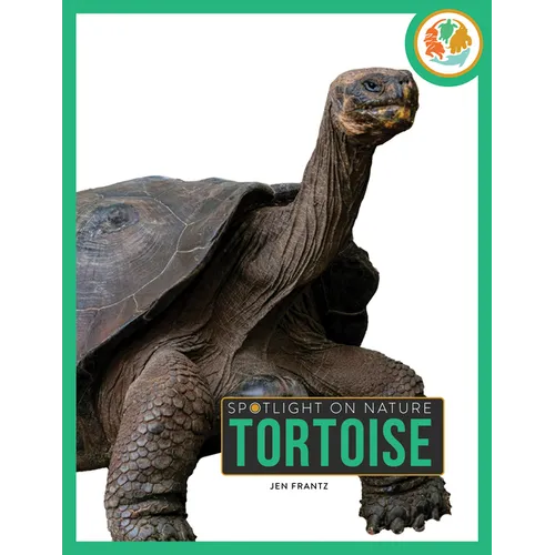 Tortoise