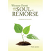 Wynne Frost and the Soul of Remorse