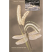A Walk Around the Pond: Insects in and Over the Water