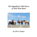 The Magnificent Wild Mustangs Of Sand Wash Basin