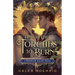 Teach the Torches to Burn: A Romeo & Juliet Remix