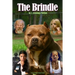 The Brindle