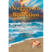 Nuggets of Reflections