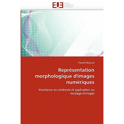 Représentation morphologique d'images numériques