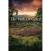 The Path Of Grace: Book 2 of Land of Angels