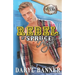 Rebel At Spruce High