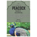 The Complete Peacock Raising Handbook: A Beginners Guide to Peafowl Care, Breeding, Health, Grooming, Habitat, and Feeding Tips for Successful Peacock