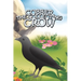 Cobber the Collecting Crow