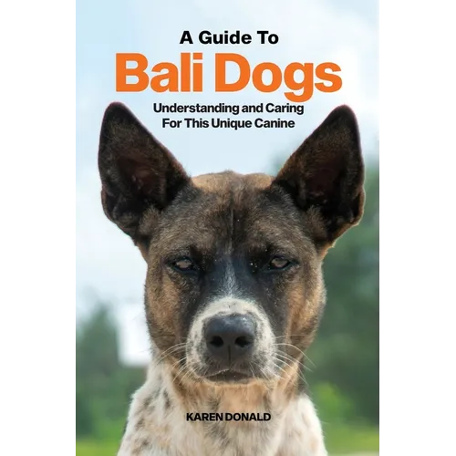 A Guide to Bali Dogs: Understanding and Caring For This Unique Canine