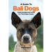 A Guide to Bali Dogs: Understanding and Caring For This Unique Canine