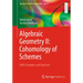 Algebraic Geometry II: Cohomology of Schemes: With Examples and Exercises