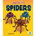 Spiders