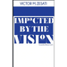 Impacted by The Vision