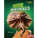 Weird Animals