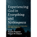 Experiencing God in Everything and Nothingness: Negativity, Embodiment, and Spirituality--South African Perspectives