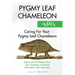 Pygmy Leaf Chameleons as Pets: Pygmy Leaf facts, care, breeding, nutritional information, tips, and more! Caring For Your Pygmy Leaf Chameleons