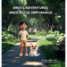 Oreo's Adventures: Oreo in the Orphanage