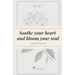 Soothe your heart and bloom your soul: Kindness and tenderness