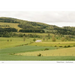 Thibaut Cuisset: French Landscapes