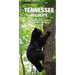 Tennessee Wildlife: A Folding Pocket Guide to Familiar Animals